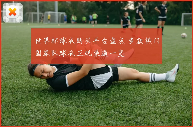 世界杯球衣购买平台盘点 多款热门国家队球衣正规渠道一览
