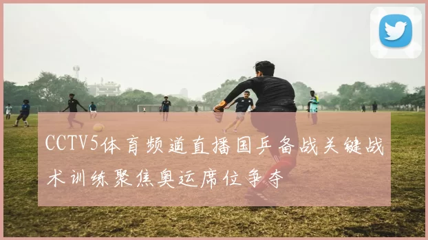 CCTV5体育频道直播国乒备战关键战术训练聚焦奥运席位争夺