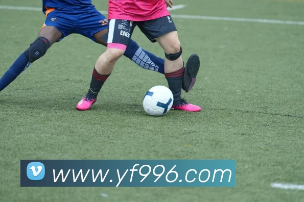 开云手机官方版页面登录入口 - 开云(中国)平台生态图